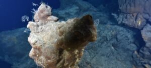 Los fondos marinos no deben convertirse en el “Salvaje Oeste” de la explotación de minerales raros