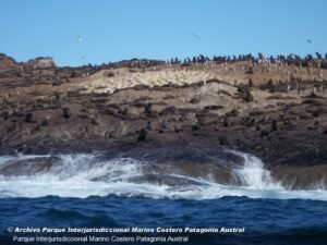 ¿Filantropía ambiental o amenaza a la soberanía? ONG ligadas a Estados Unidos desembarcan en áreas marinas protegidas