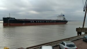 Licitación bajo sospecha: la concesión de la Hidrovía sin control ambiental pone en riesgo al río Paraná