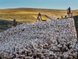 La Argentina loteada. La tierra de los otros