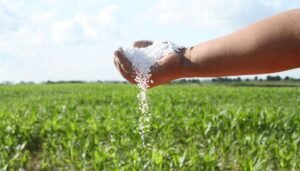 Negocios argentinos. Exportar gas para importar fertilizantes a precio de guerra