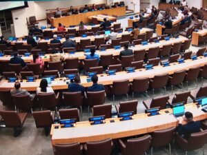 El Comité de Descolonización de la ONU tratará hoy la Cuestión Malvinas